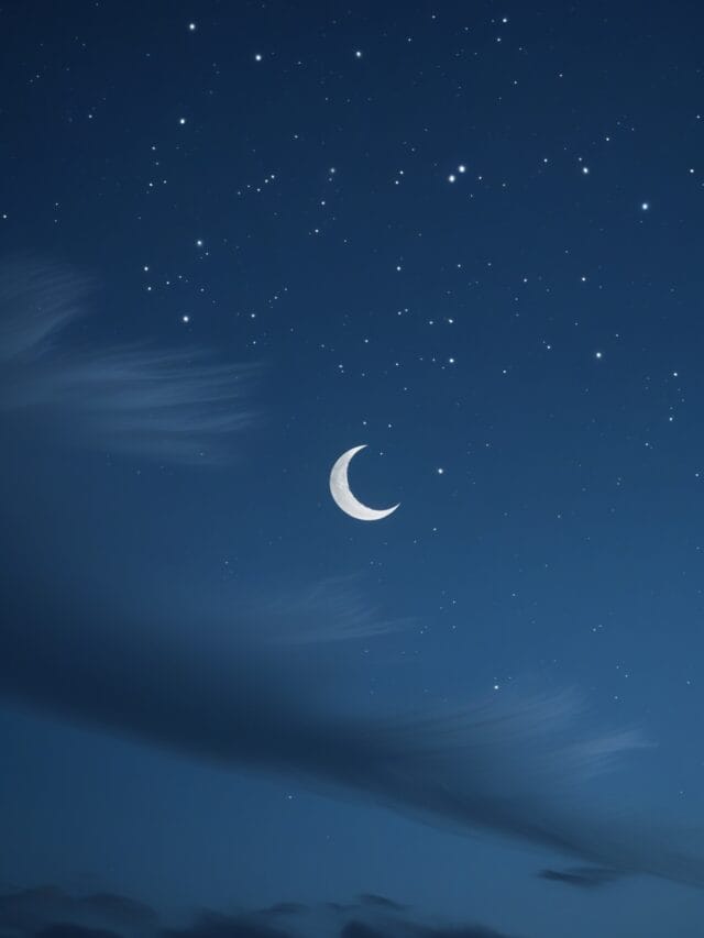 AL MEIRAJ HAJJ AND UMRAH SERVICES 16 Don’t Miss the 21st Night of Ramadan (34)